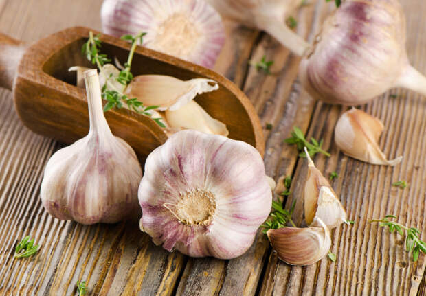 garlic on a wooden board. selective focus