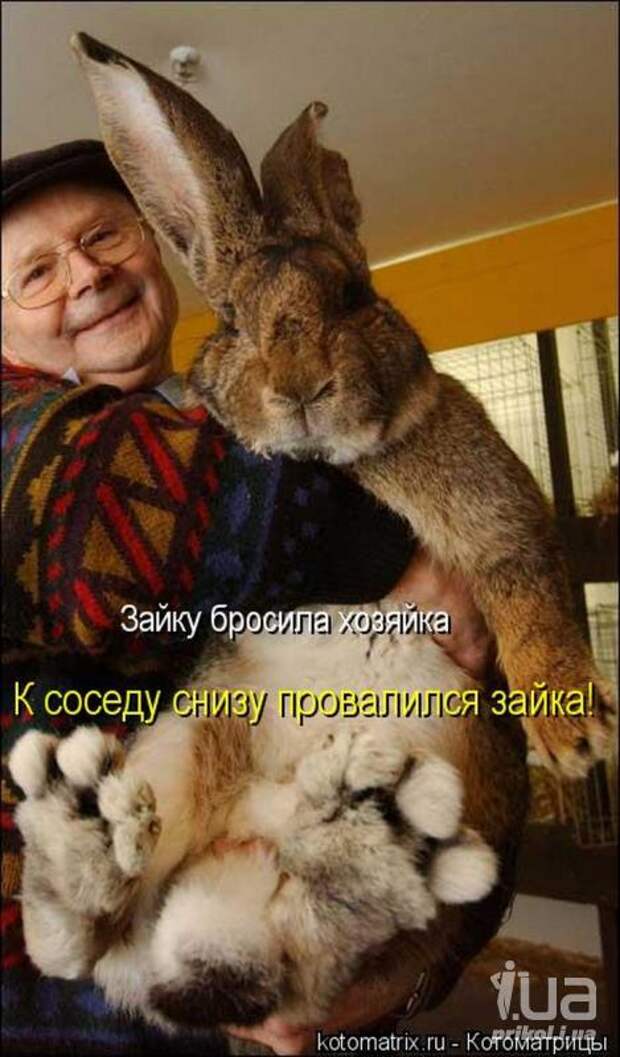 Симпатюли