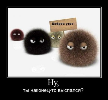 Демотиваторы новые смешные.