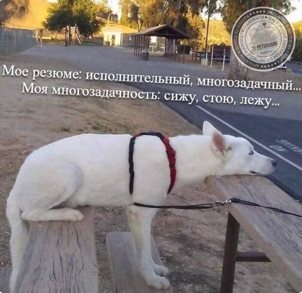 Многозадачность