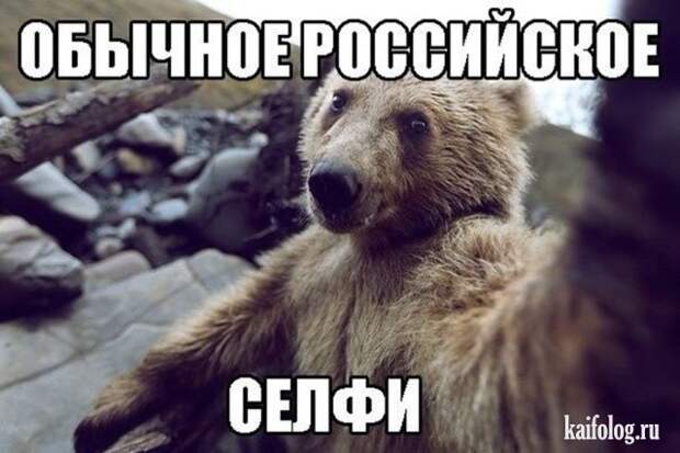 Прикольные открытки (40 открыток) Прикольные открытки (40 открыток)