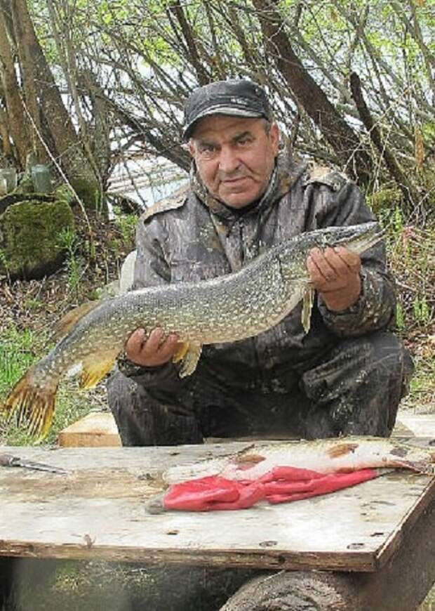 Пики клева рыбы