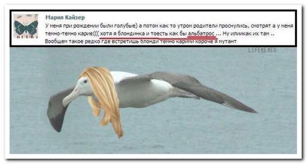 Смешные комментарии из социальных сетей 07.05.15 комментарии, прикол, соцсети, юмор