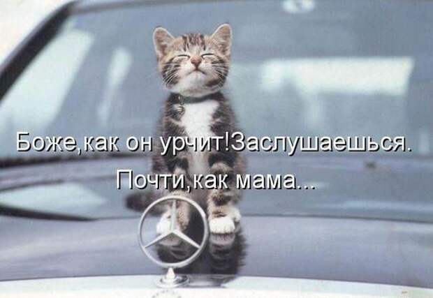 Автоприколы (45 фото)