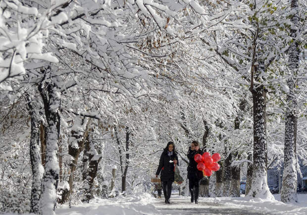 Снежная аллея в Алматы, Казахстан