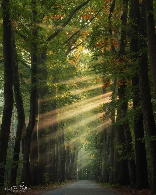 ��������� ����