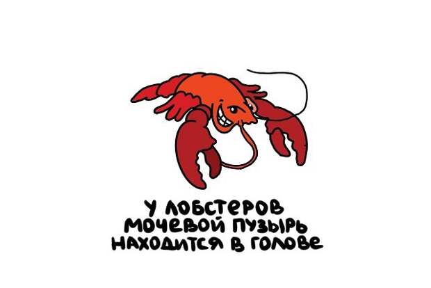 Короткие интересные факты на все случаи жизни