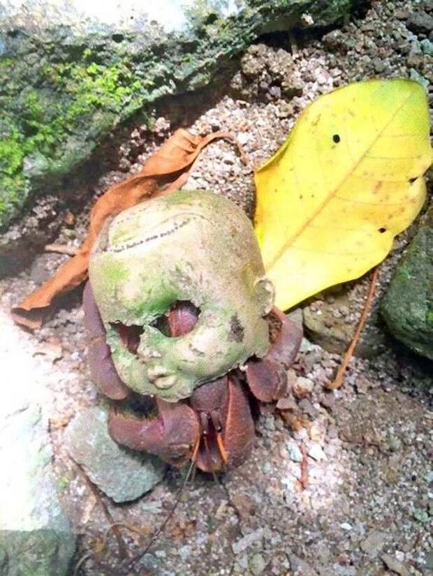 Жутковато: 10 фотографий, которые окажутся страшнее некоторых фильмов ужасов