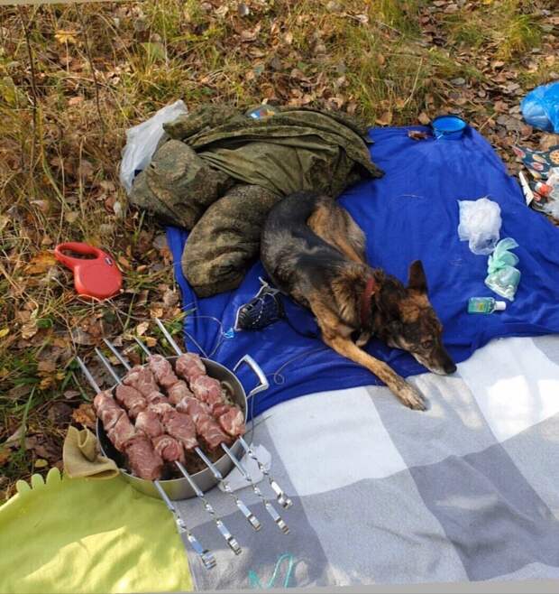 Вот такая выдержка)