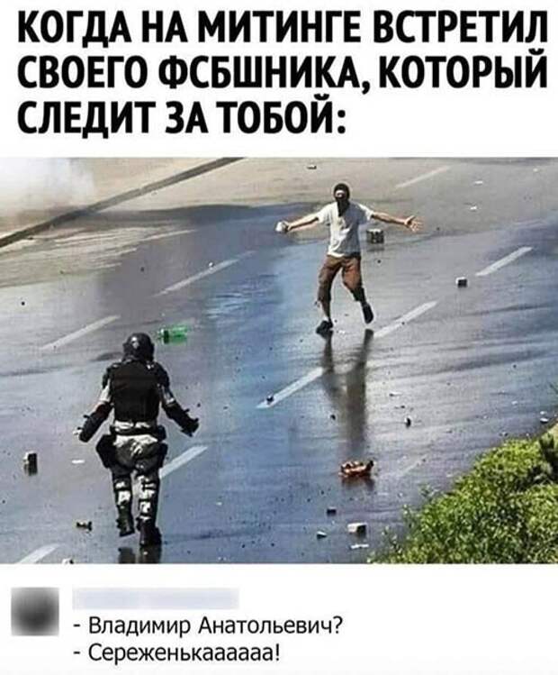 Задорные картинки о девушках, мотивации и котиках 