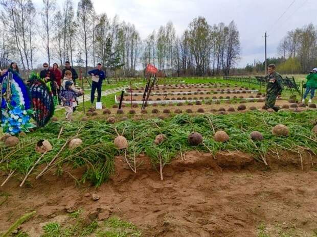 Педагог из школы № 1159 обнаружила захоронение солдат Великой Отечественной