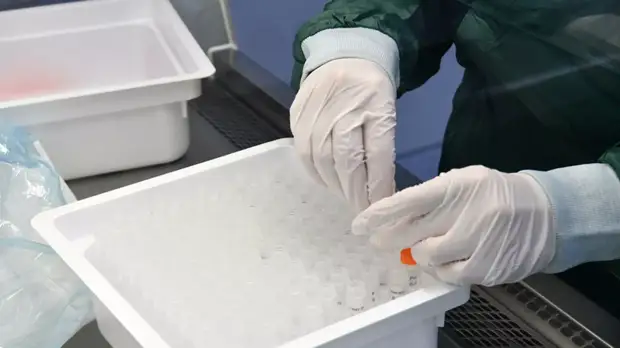 Роспотребнадзор предупредил о возможности второй волны коронавируса