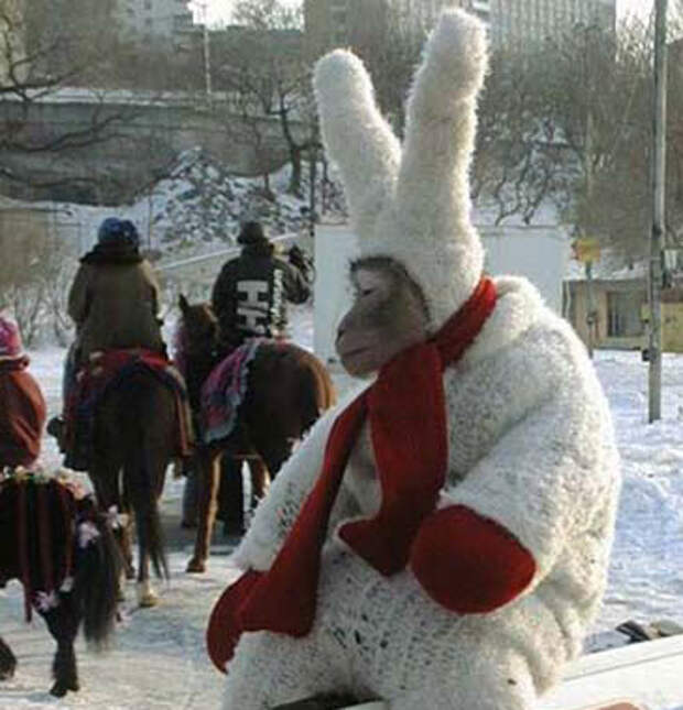 Прикольно :) (26штук)