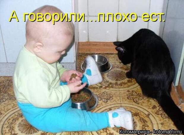 Котоматрицы (картинки с надписями)