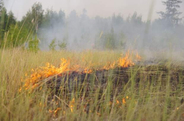 В Республике Адыгея продолжается ежегодная Федеральная информационная компания «Останови огонь!»