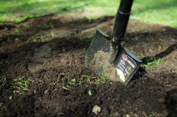 Желающие перекопать Ботанический сад в Петербурге могут заработать  20 тысяч рублей