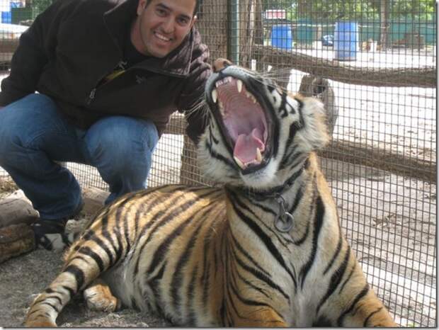 extreme-zoo_10_(funnypagenet.com)