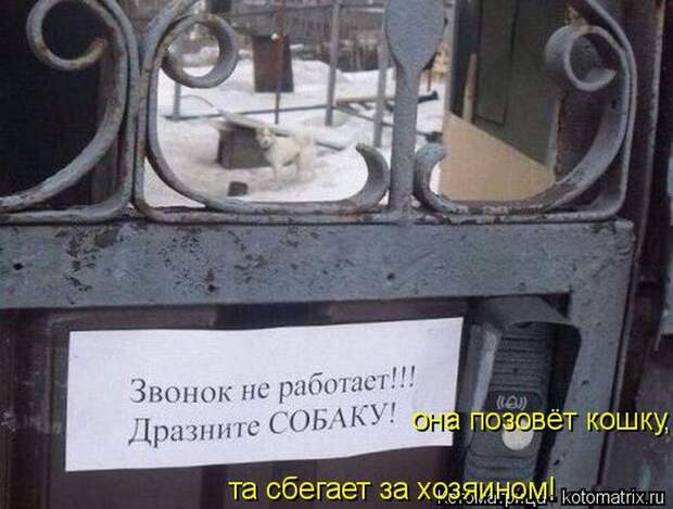 Лучшие котоматрицы недели (50 фото) Лучшие котоматрицы недели (50 фото)
