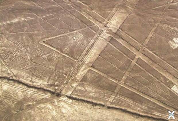Первые ДНК возникло раньше, чем жизнь на Земле