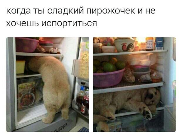 Забавные картинки с надписями для веселья (12 фото) Забавные картинки с надписями для веселья (12 фото)