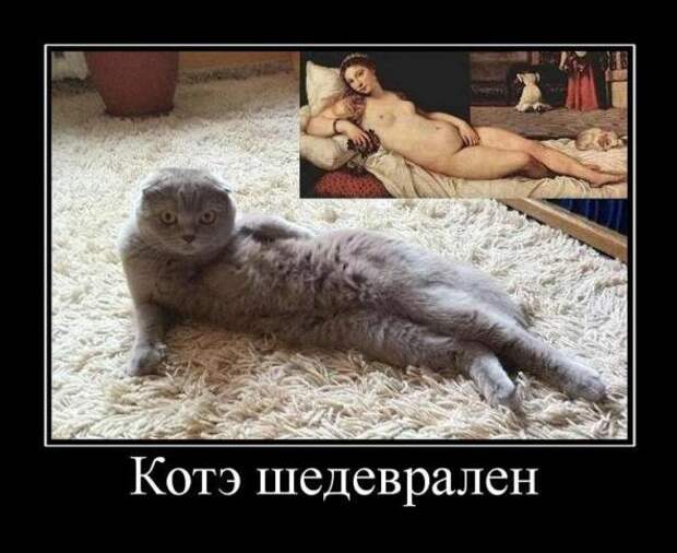 Новые демотиваторы. Очень прикольная подборка.