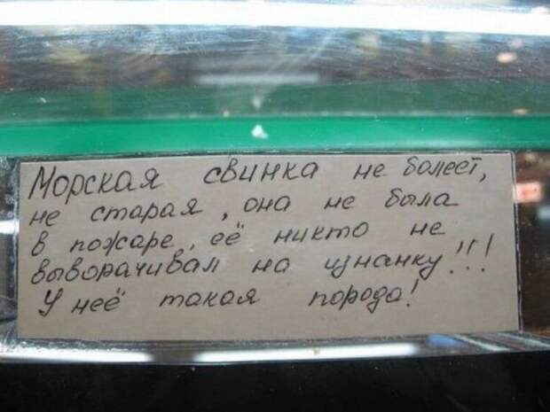 такая порода