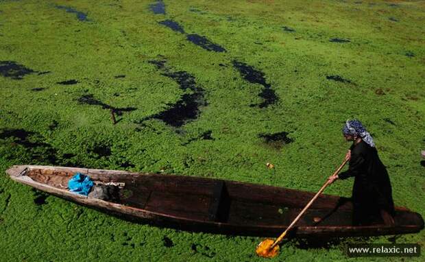 october_018 october_018