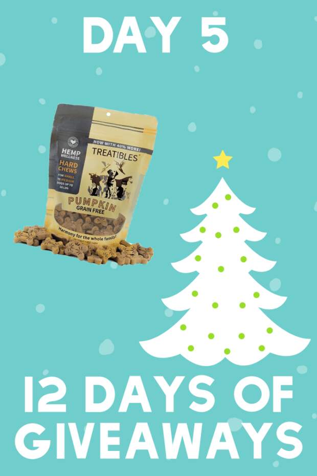 Does your dog suffer from anxiety? Enter to win a pack of Treatibles on It's Dog or Nothing to help keep your dog calm.