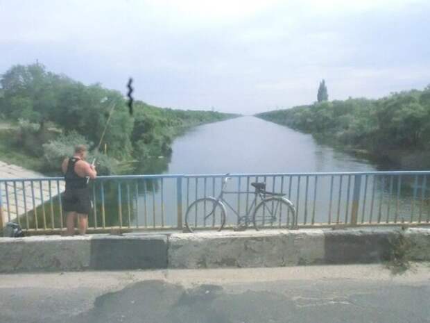 Говорил же, что теперь тут рыбу ловят.