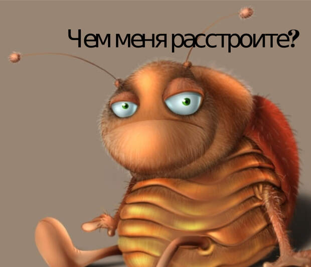 Сейчас узнаешь!