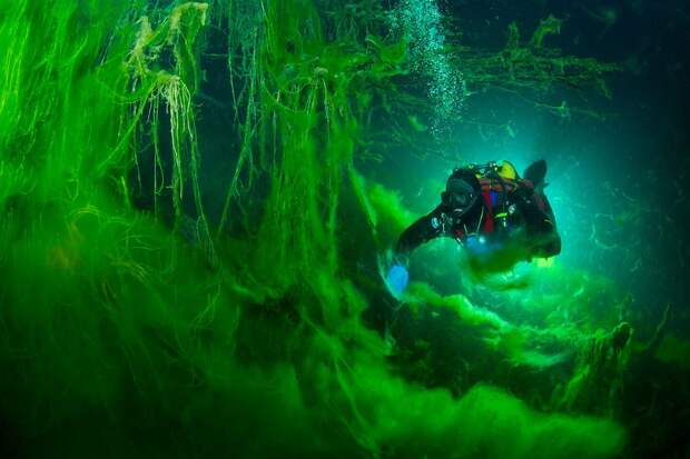 koshmary-nochnye-pohozhih-eto-interesno-poznavatelno-kartinki