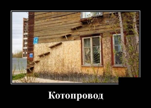 Демотиваторы Демотиваторы