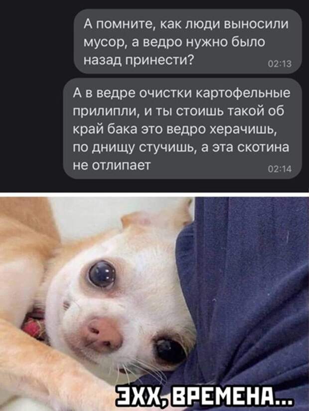 Прикольные и смешные картинки