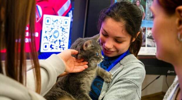 Жизнь на освобожденных территориях 31 января (обновляется)