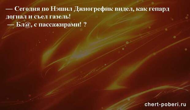 Самые смешные анекдоты ежедневная подборка chert-poberi-anekdoty-chert-poberi-anekdoty-52540230052020-10 картинка chert-poberi-anekdoty-52540230052020-10