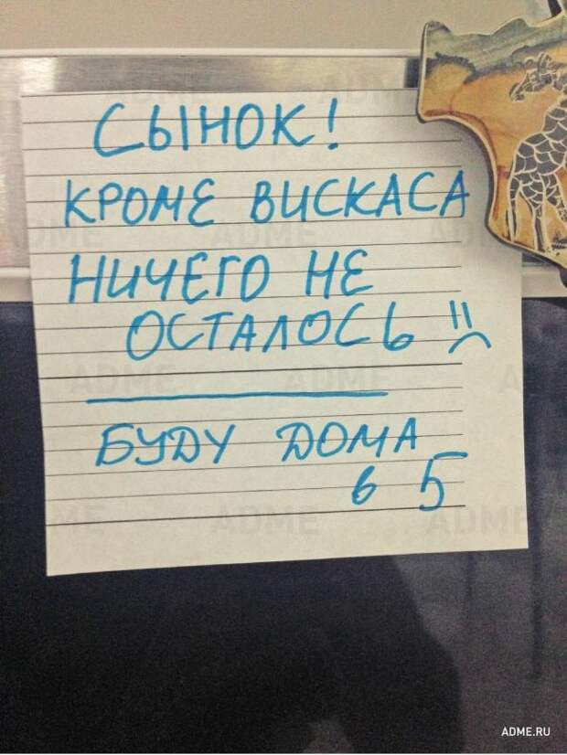 22 записки, наполненные родительской любовью 22 записки, наполненные родительской любовью