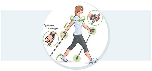Обратите внимание на положение рук и ног при скандинавской ходьбе