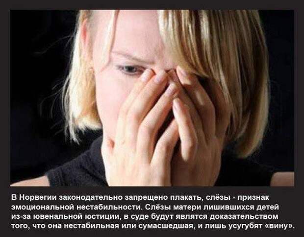 Мы и "цивилизованная" Европа семейные ценности, европа