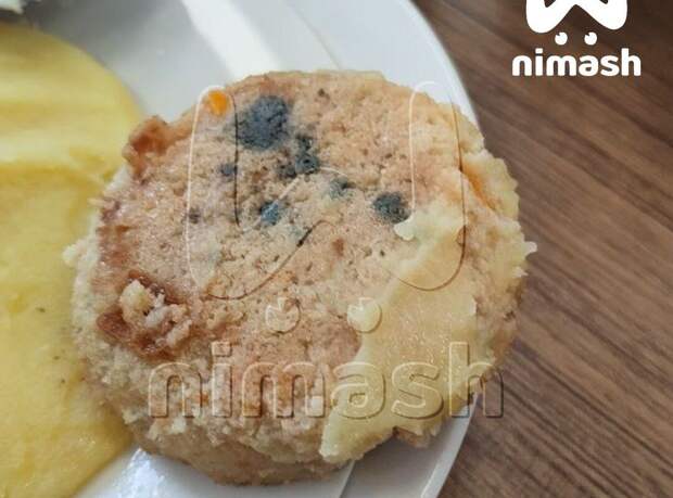 Mash: в Богородске детей накормили котлетами с плесенью в школе