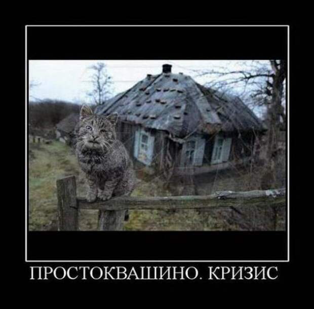Новые демотиваторы с приколами и смыслом