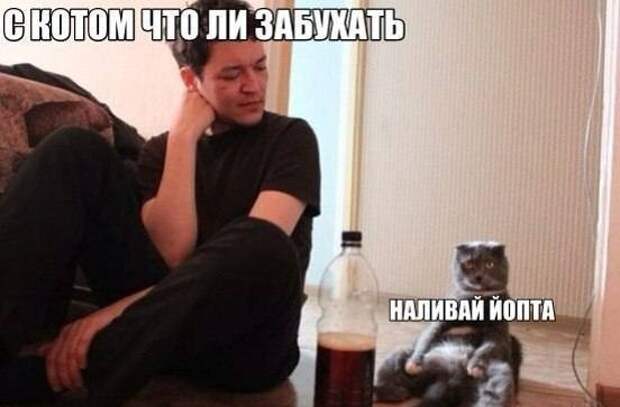 Немного деграданса Немного деграданса