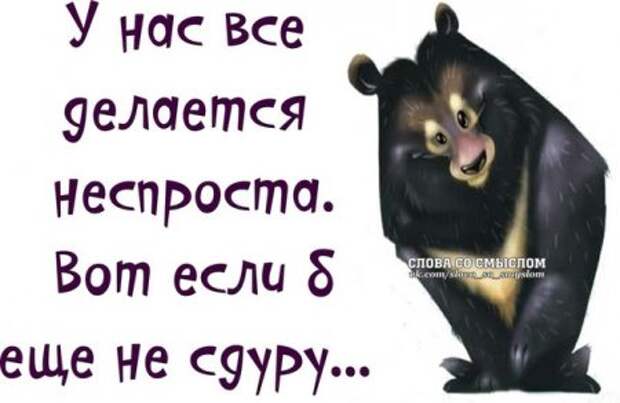 Позитив и веселье вот наш девиз!