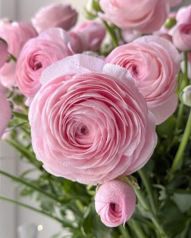 В наличии аромат 💗F 103 по мотивам Delina Parfums De Marly