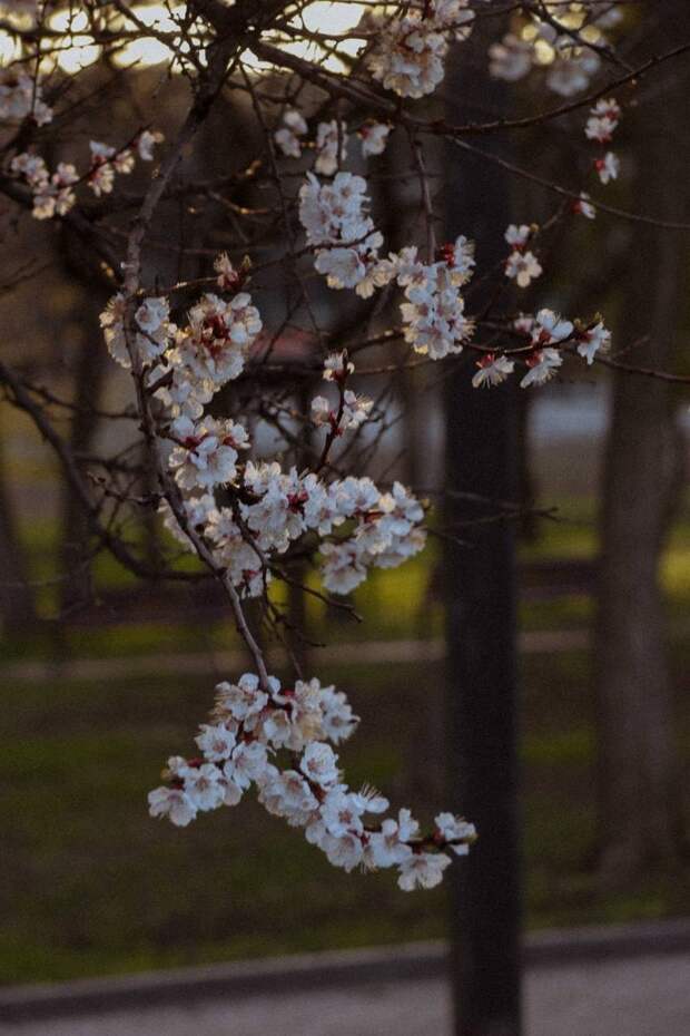 Весна в Донецке