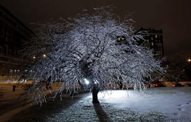winterbeauty55