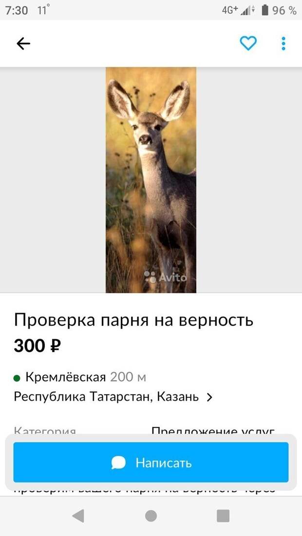Во время пандемии появилось много необычных предложений на подобных сайтах Во время пандемии появилось много необычных предложений на подобных сайтах