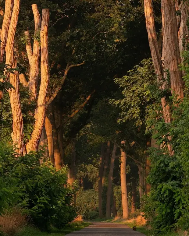 ��������� ����