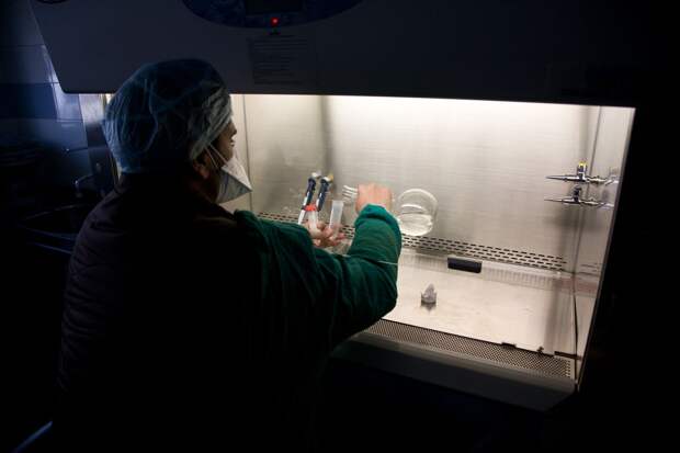 Академик РАН Гинцбург: от смертельного вируса Нипах не существует лекарства