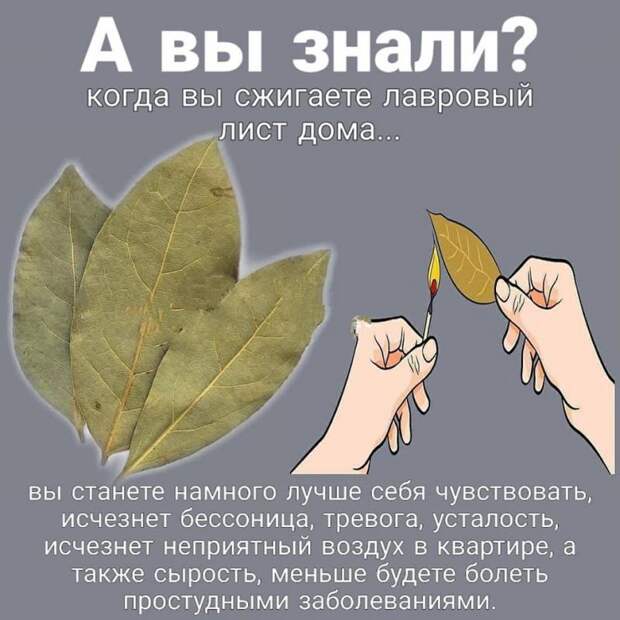 Лаврушка