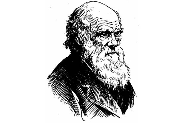 Путешествие Чарльза Дарвина